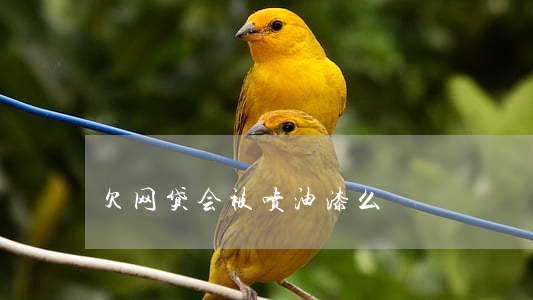 欠网贷会被喷油漆么
