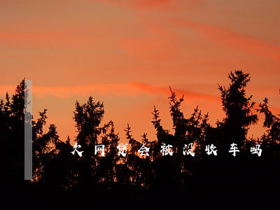 欠网贷会被没收车吗