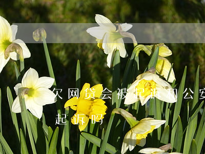 欠网贷会被起诉和公安局立案吗(欠网贷会被起诉吗?)