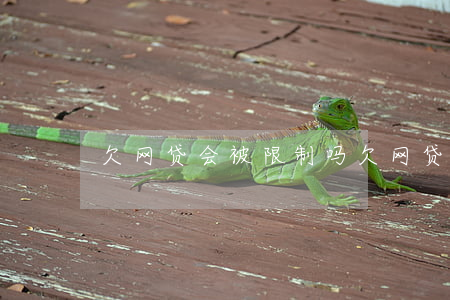 欠网贷会被限制吗(欠网贷不还会被抓吗)