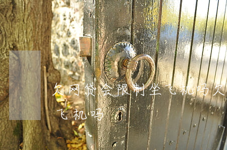 欠网贷会限制坐飞机吗(欠网贷会限制坐高铁飞机吗)