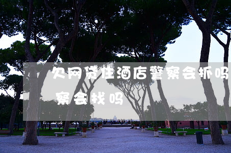 欠网贷住酒店警察会抓吗(网贷逾期住酒店警察会找吗)