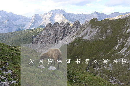 欠网贷保证书怎么写(网贷保证书怎么写)