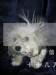 欠网贷信用卡100万无力偿还(欠网贷信用卡十几万还不上怎么办)
