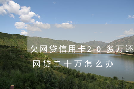 欠网贷信用卡20多万还有救吗(欠信用卡和网贷二十万怎么办)