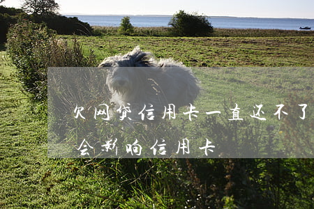 欠网贷信用卡一直还不了会怎样(欠网贷会不会影响信用卡)