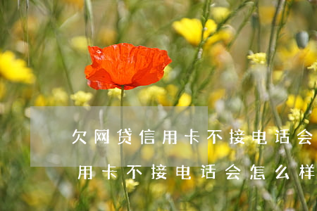 欠网贷信用卡不接电话会怎么样-欠网贷信用卡不接电话会怎么样吗