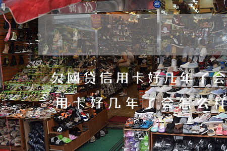 欠网贷信用卡好几年了会怎么样-欠网贷信用卡好几年了会怎么样吗