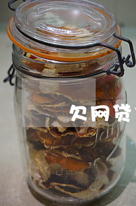 欠网贷信用卡想死的心(欠了网贷信用卡)