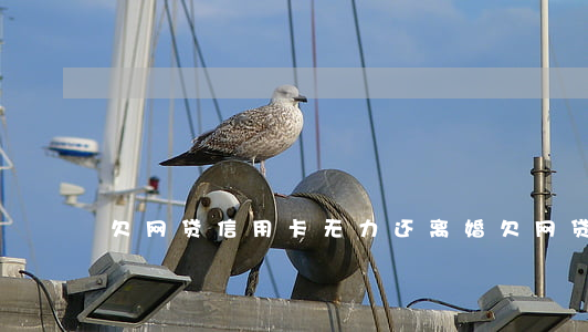 欠网贷信用卡无力还离婚(欠网贷能离婚吗)