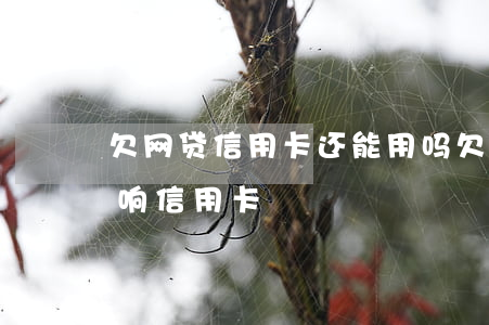 欠网贷信用卡还能用吗(欠网贷不还会不会影响信用卡)