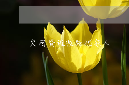 欠网贷催收骚扰家人