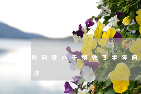 欠网贷八千消失了半年(网贷欠两千好几年没还)