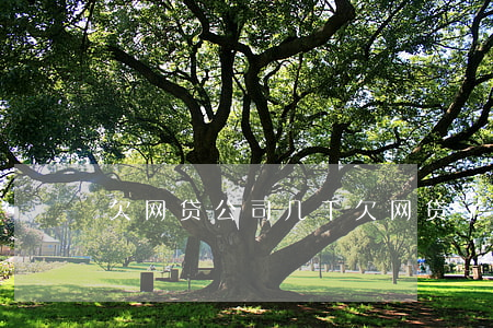 欠网贷公司几千(欠网贷了5万)