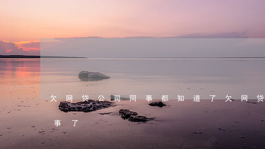 欠网贷公司同事都知道了(欠网贷打电话给同事了)