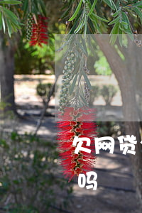 欠网贷公司能找到我吗(欠网贷公司能找到我吗)