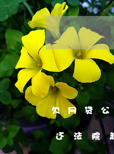 欠网贷公司钱多久不还会被起诉(欠钱网贷不还法院起诉 需要多久)