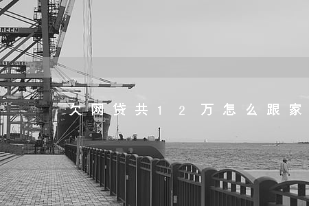 欠网贷共12万怎么跟家人坦白-