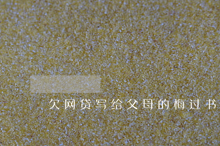 欠网贷写给父母的悔过书范文