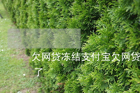 欠网贷冻结支付宝(欠网贷支付宝被司法冻结了)