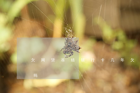 欠网贷冻结银行卡几年(欠网贷会冻结银行卡吗)