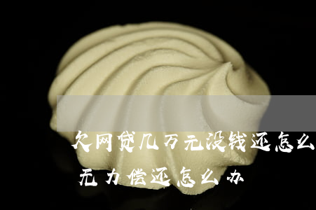 欠网贷几万元没钱还怎么办(欠了几千块网贷无力偿还怎么办)