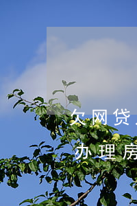 欠网贷几万元还能办房贷吗(网贷欠几千可以办理房贷么)
