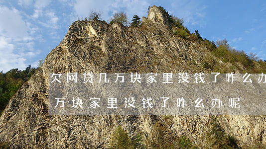 欠网贷几万块家里没钱了咋么办-欠网贷几万块家里没钱了咋么办呢