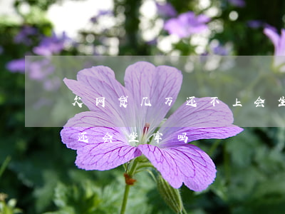 欠网贷几万还不上会坐牢吗(欠网贷一万多不还会坐牢吗)
