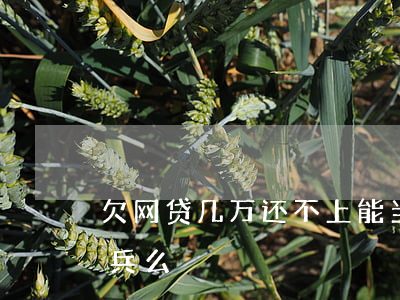 欠网贷几万还不上能当兵吗(欠着网贷能去当兵么) 欠网贷几万还不上能当兵吗(欠着网贷能去当兵么)