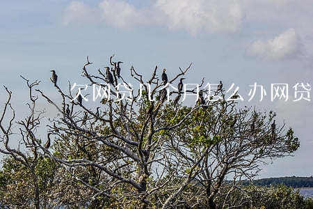 欠网贷几个月怎么办(网贷欠两个月会怎样)