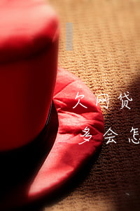 欠网贷几个月还能去网吧吗(如果欠网贷两千多会怎样)