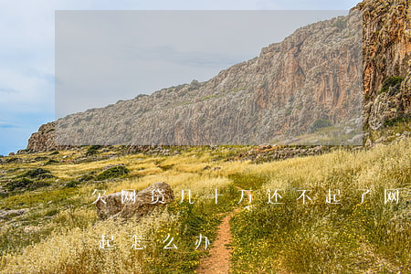 欠网贷几十万还不起了(网贷欠款十几万还不起怎么办)