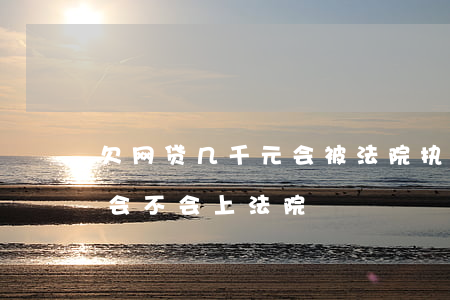 欠网贷几千元会被法院执行吗(欠网贷2千多会不会上法院)