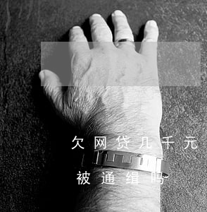 欠网贷几千元会被通缉吗(欠30多万网贷会被通缉吗)
