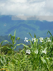 欠网贷几千元可以起诉吗(欠网贷几千元可以起诉吗)