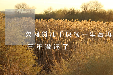 欠网贷几千块钱一年后再还(欠了网贷几千块三年没还了)