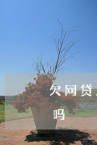 欠网贷几千块钱上门了(网贷欠几千元会上门吗)