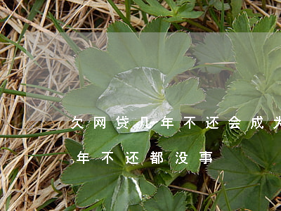 欠网贷几年不还会成为死账(为什么欠网贷几年不还都没事)