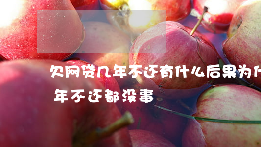 欠网贷几年不还有什么后果(为什么欠网贷几年不还都没事)