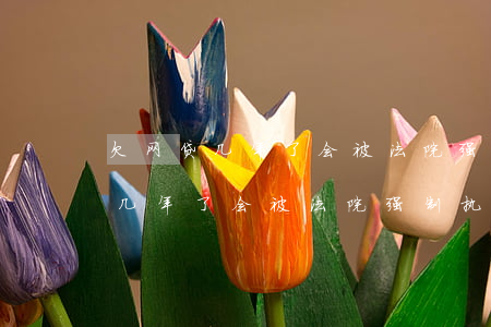 欠网贷几年了会被法院强制执行吗-欠网贷几年了会被法院强制执行吗知乎