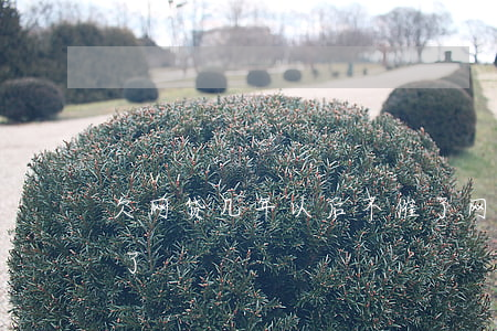 欠网贷几年以后不催了(网贷欠几年就不用还了)