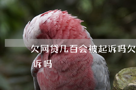 欠网贷几百会被起诉吗(欠网贷几千元会被起诉吗)