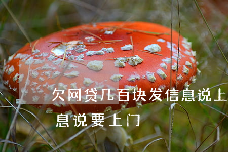 欠网贷几百块发信息说上门会来吗(网贷发信息说要上门)