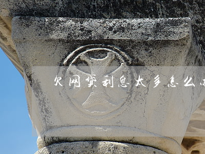 欠网贷利息太多怎么办(欠网贷太多怎么解决)