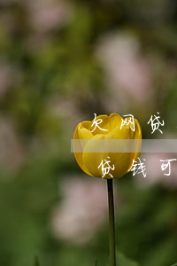 欠网贷别人能给我转钱吗(别人欠我钱我欠网贷钱,可以债权转让吗)