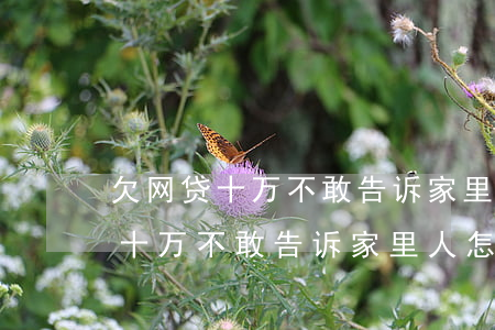 欠网贷十万不敢告诉家里人怎么办-欠网贷十万不敢告诉家里人怎么办呢