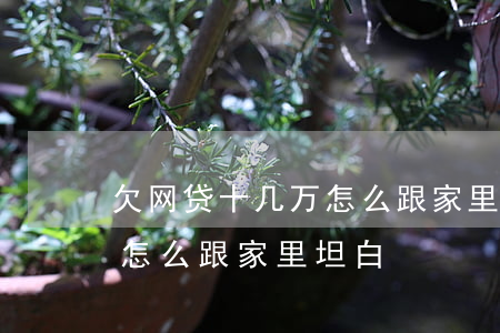 欠网贷十几万怎么跟家里坦白(欠网贷15万怎么跟家里坦白)