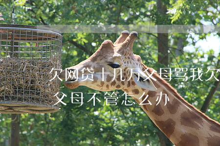 欠网贷十几万父母骂我(欠了网贷跟家里说了父母不管怎么办)