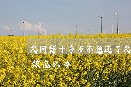 欠网贷十多万 不想还了(欠网贷十万还不上我该怎么办)